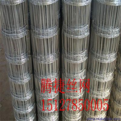 直供阜平县草原围栏网牛栏网规格图片,直供阜平县草原围栏网牛栏网规格图片大全,安平县腾捷金属丝网制品厂-