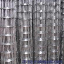 卓勋10mm*10mm电镀锌电焊网图片,卓勋10mm*10mm电镀锌电焊网图片大全,安平县卓勋金属丝网制品-