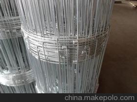 【现货圈羊网】价格,厂家,图片,植物中药材,安平百亿金属丝网制品-